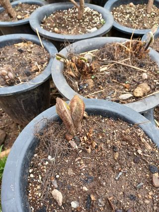 알 수 없음님의 기타작물 · 자유게시판 작성글 사진