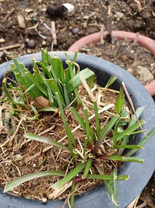 알 수 없음님의 기타작물 · 자유게시판 작성글 사진