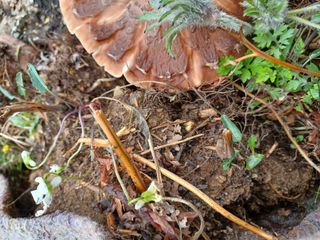 알 수 없음님의 기타작물 · 자유게시판 작성글 사진