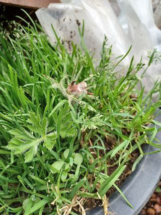 알 수 없음님의 기타작물 · 자유게시판 작성글 사진