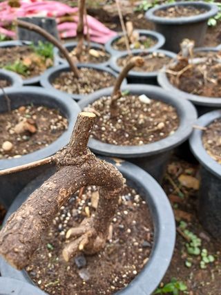 알 수 없음님의 기타작물 · 자유게시판 작성글 사진