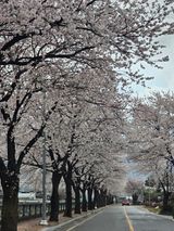 팜모닝 우리동네·동네자랑 게시글 이미지