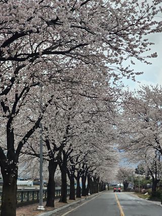 빠꼼이님의 우리동네 · 동네자랑 작성글 사진