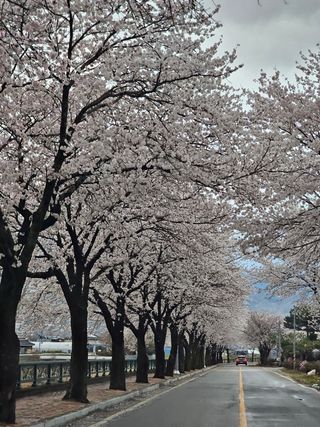 빠꼼이님의 우리동네 · 동네자랑 작성글 사진