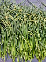 팜모닝 · 게시글 이미지