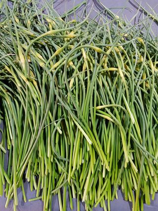 딴딴님의 작성글 사진