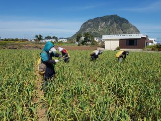 딴딴님의 작성글 사진