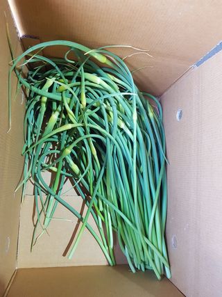 딴딴님의 작성글 사진