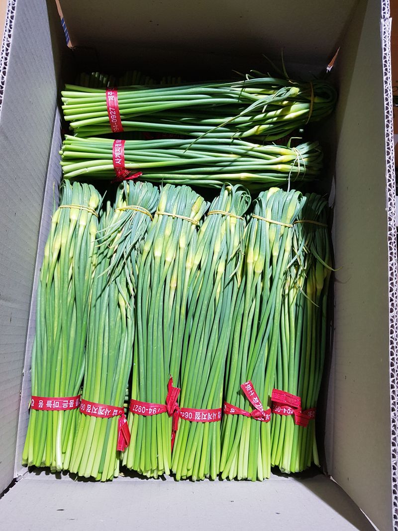 딴딴님의 장터 판매 상품 [2023 제주 햇 마늘쫑1kg] 첨부 사진