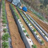 팜모닝 감자·자유게시판 게시글 이미지