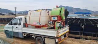 신영철(충남청양군)님의 마늘 · 마늘 쪽 비대기 작성글 사진