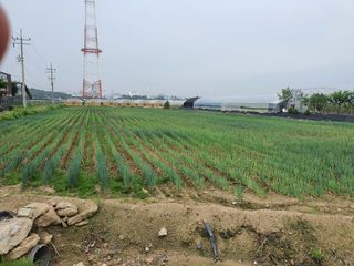 황영선님의 기타작물 · 병해충상담 작성글 사진