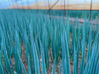 이승하님의 파 · 자유게시판 작성글 사진