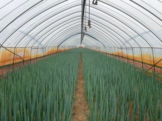 이승하님의 파 · 자유게시판 작성글 사진