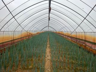 이승하님의 파 · 자유게시판 작성글 사진