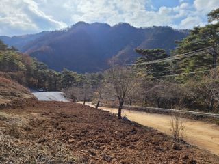 평창크로바님의 기타작물 · 병해충상담 작성글 사진