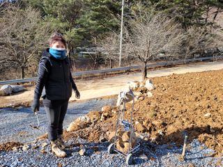 평창크로바님의 기타작물 · 병해충상담 작성글 사진