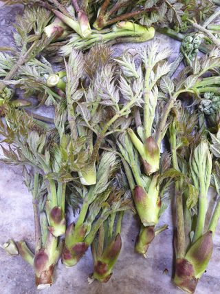 해당화님의 자유주제 · 자유게시판 작성글 사진