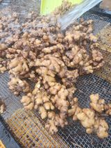 팜모닝 기타작물·자유게시판 게시글 이미지