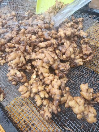 it농부님의 기타작물 · 자유게시판 작성글 사진