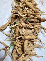 팜모닝 · 게시글 이미지