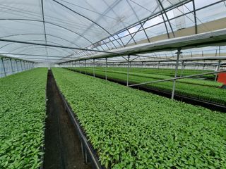 수박씨님의 고추 · 일상 작성글 사진