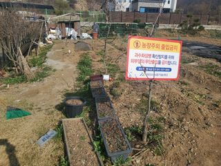 새싹농장님의 사과 · 비료•농약 작성글 사진