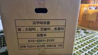 김동수님의 고구마 · 자유게시판 작성글 사진