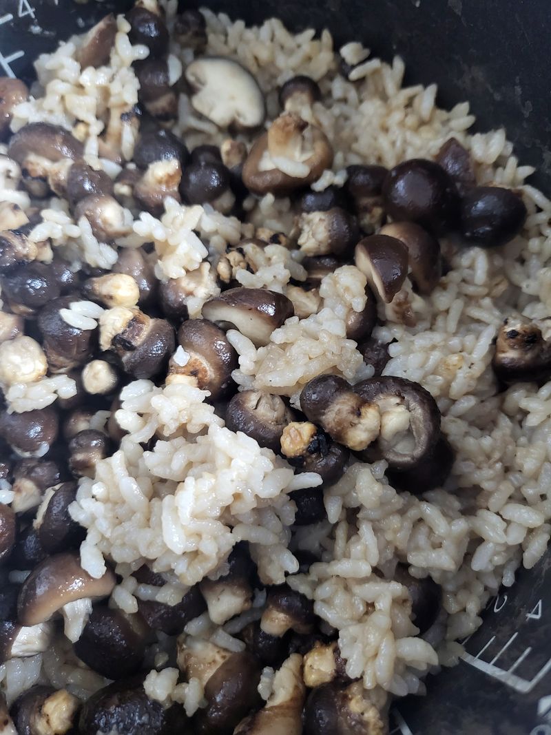 장터 상품 [콩알표고버섯] 썸네일