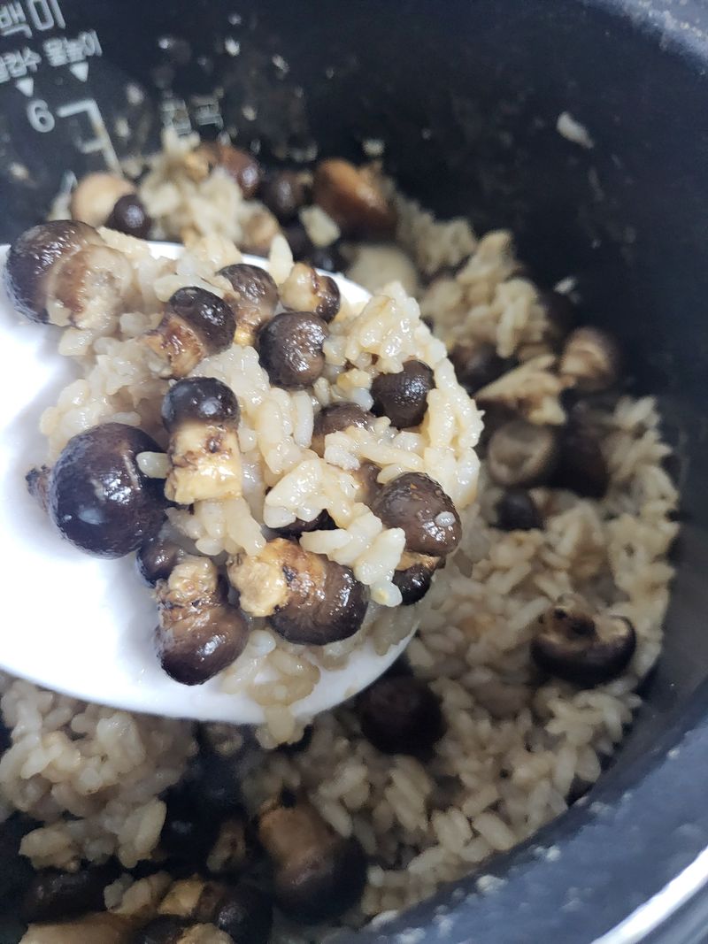 포동포동표고버섯농장님의 장터 판매 상품 [콩알표고버섯] 첨부 사진