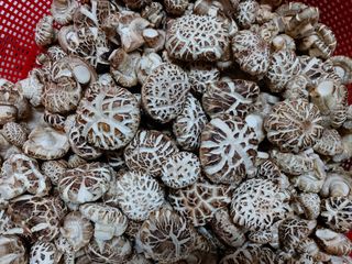 이태영님의 버섯 · 수확 작성글 사진