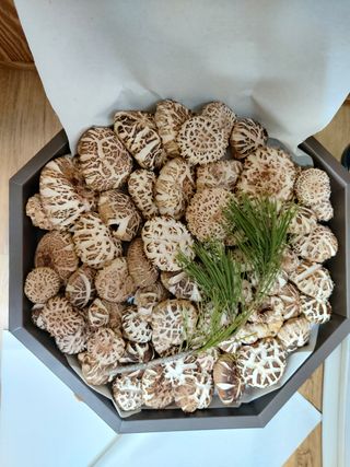 이태영님의 버섯 · 수확 작성글 사진