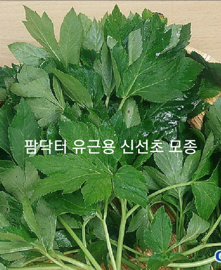 알 수 없음님의 자유주제 · 자유게시판 작성글 사진
