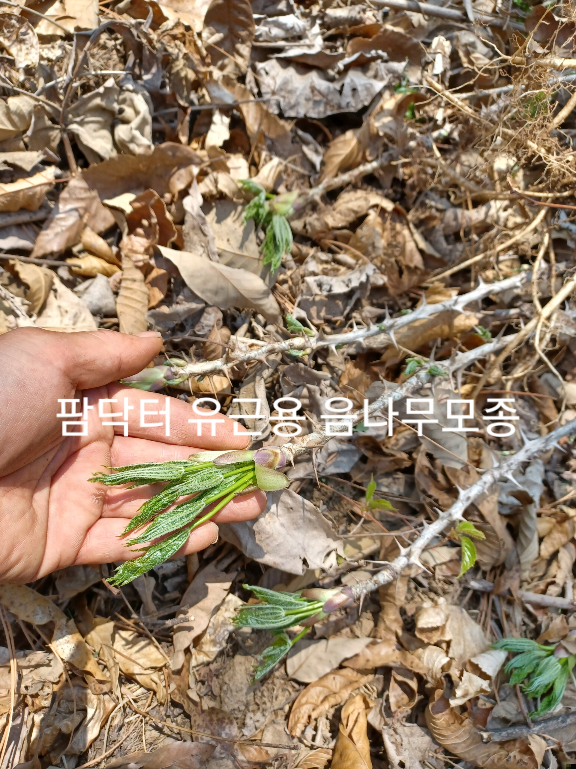 알 수 없음님의 자유주제 · 자유게시판 작성글 사진