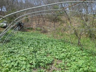 알 수 없음님의 자유주제 · 자유게시판 작성글 사진