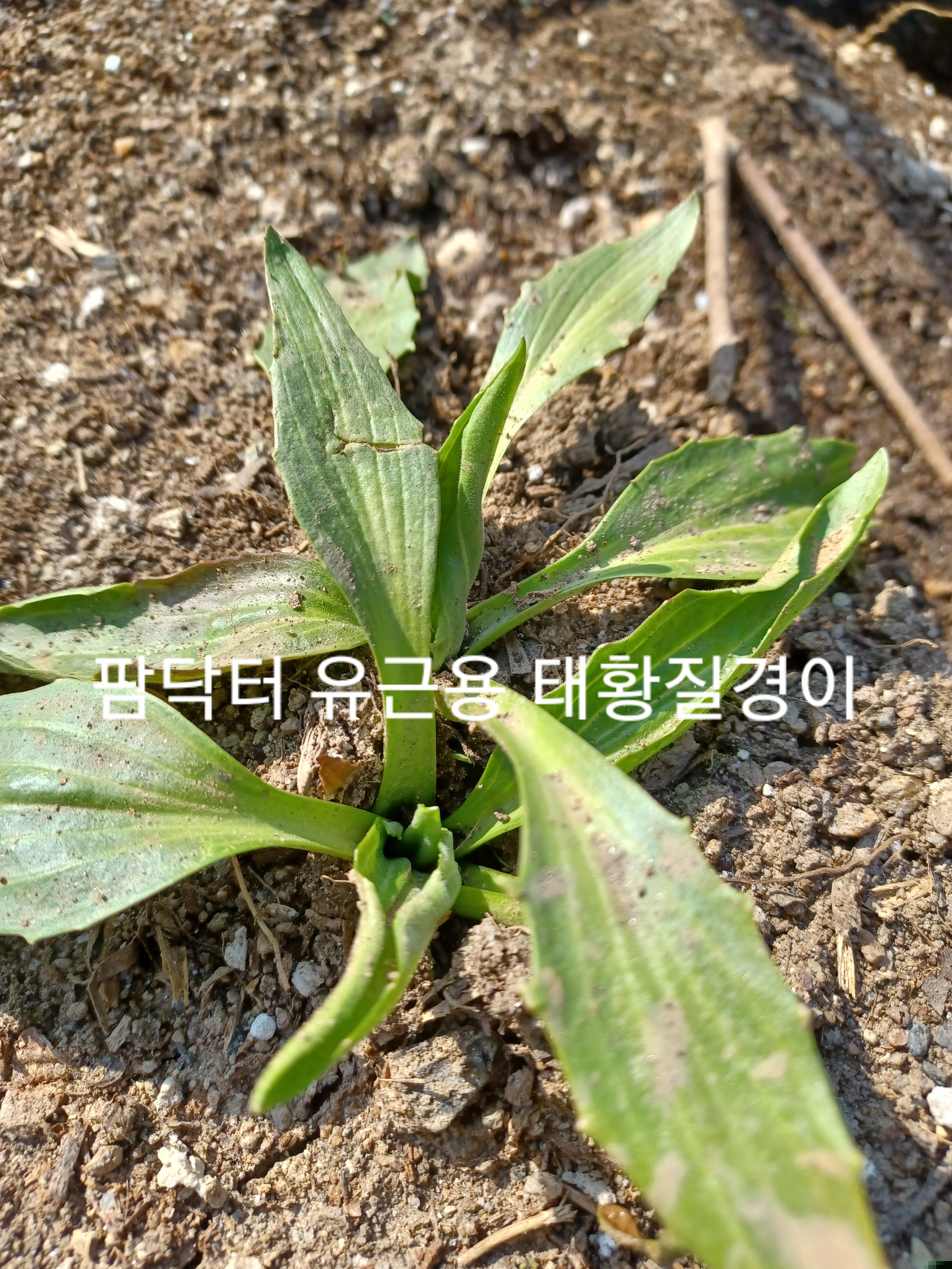 알 수 없음님의 자유주제 · 자유게시판 작성글 사진