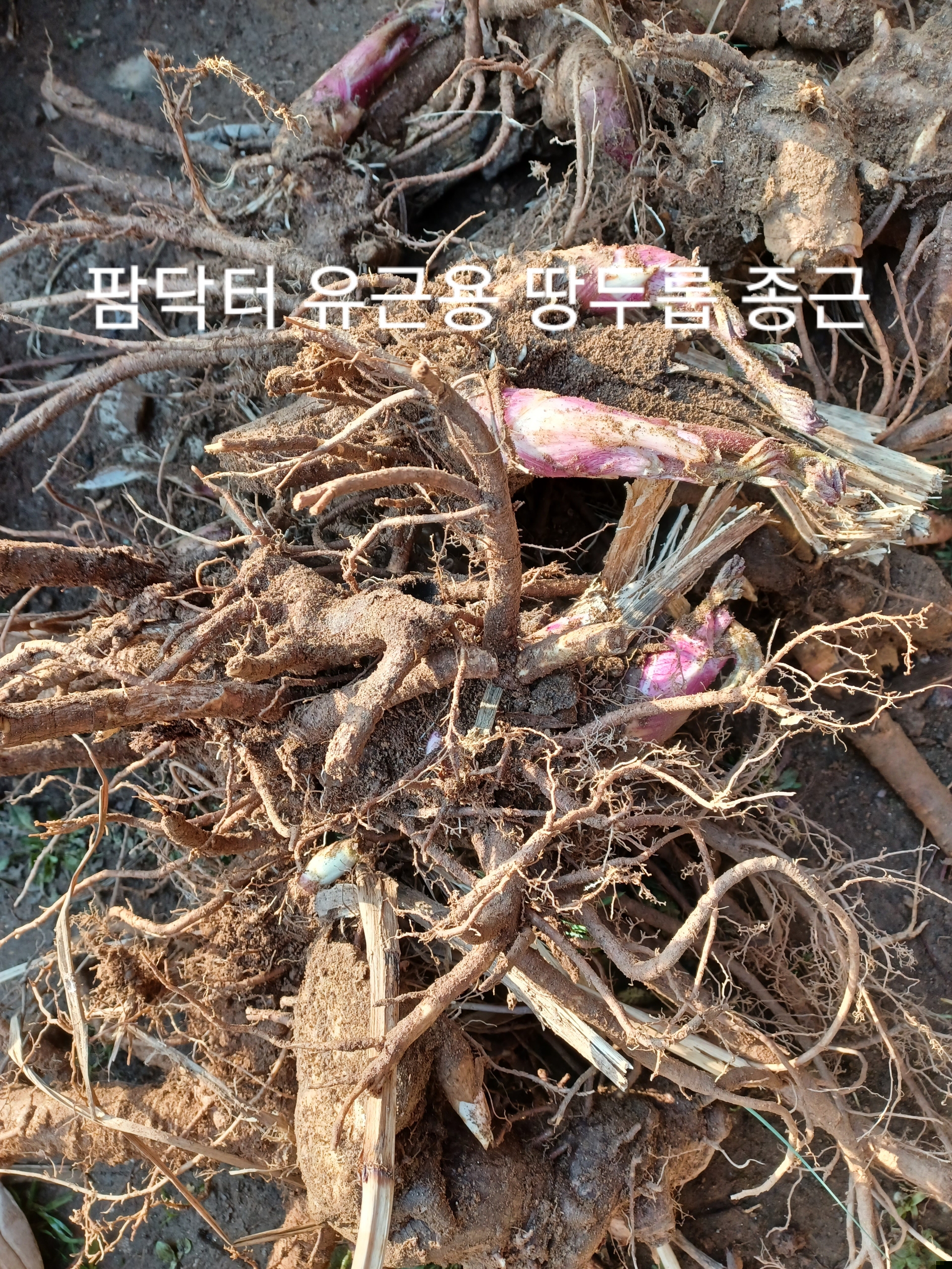 알 수 없음님의 자유주제 · 자유게시판 작성글 사진