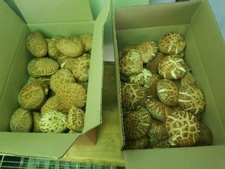 서안순님의 작성글 사진