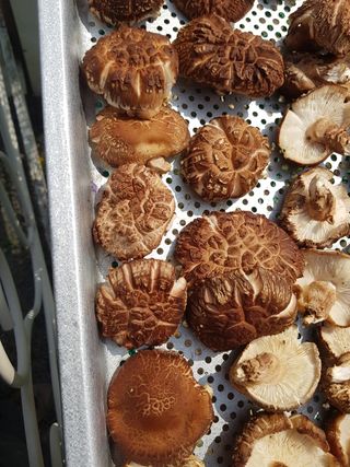 서안순님의 작성글 사진