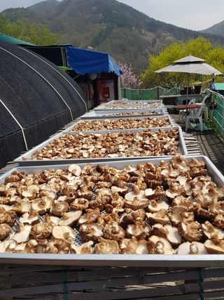 서안순님의 작성글 사진