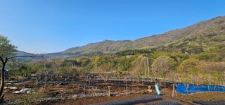 우경 김종철님의 고추 · 토양준비 작성글 사진