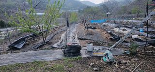 우경 김종철님의 고추 · 토양준비 작성글 사진