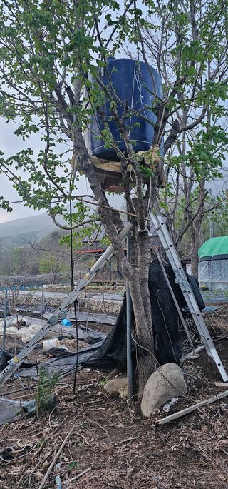 우경 김종철님의 고추 · 토양준비 작성글 사진