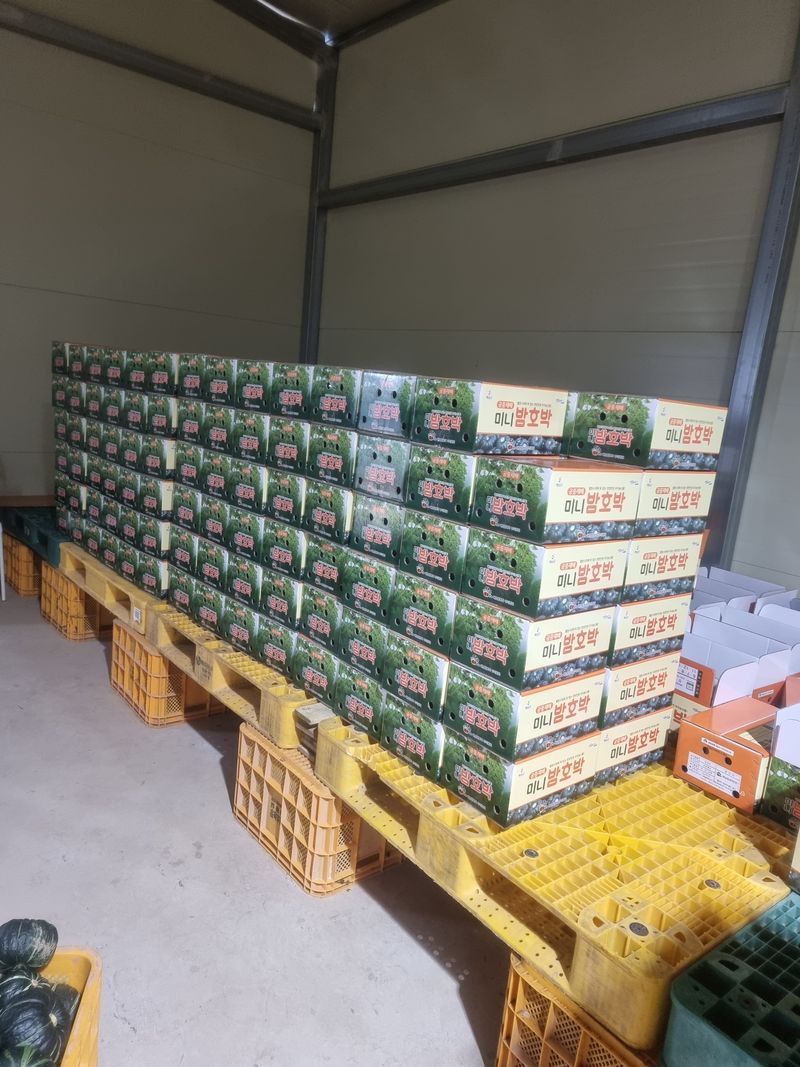 승현이네농님의 장터 판매 상품 [해남미나밤호박 보우짱(4kg) (8kg) (12kg) (16kg)] 첨부 사진