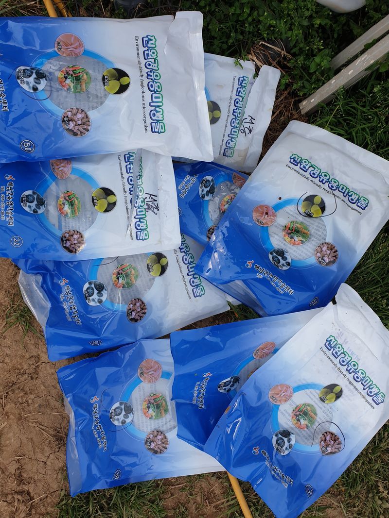 승현이네농님의 장터 판매 상품 [해남미나밤호박 보우짱(4kg) (8kg) (12kg) (16kg)] 첨부 사진