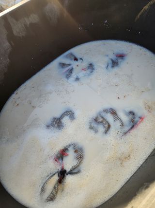 it농부님의 기타작물 · 자유게시판 작성글 사진