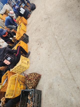 it농부님의 기타작물 · 자유게시판 작성글 사진