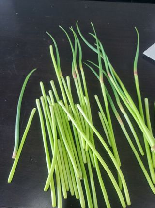 거창마늘님의 마늘 · 일상 작성글 사진