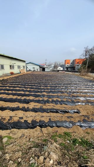 이은상님의 감자 · 자유게시판 작성글 사진