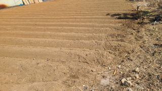 이은상님의 감자 · 자유게시판 작성글 사진